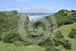 The landscape of the ocean and the rocky coast in Cucao on the way to Muelle de las Almas (Dock of Souls