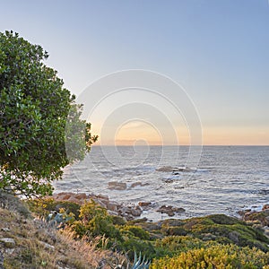 Landscape of ocean from Table Mountain park in Cape Town with copy space. Sunset view of sea with rocks and green grass