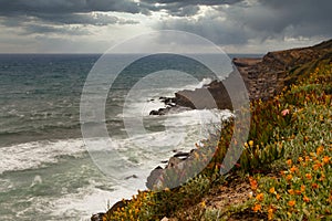 Landscape of the ocean and waves crashing on the rocks. View of the flowers blooming on the rocky slopes of the shore and the clou