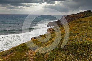 Landscape of the ocean and waves crashing on the rocks. View of the flowers blooming on the rocky slopes of the shore and the clou