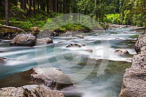 Landscape of Ohanapecosh river in Summer Mt rainier