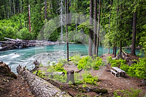 Landscape of Ohanapecosh river in Summer Mt rainier