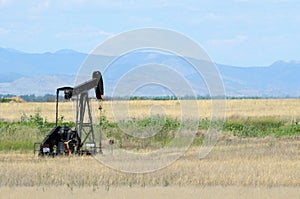 Landscape with oil pump in agricultural field