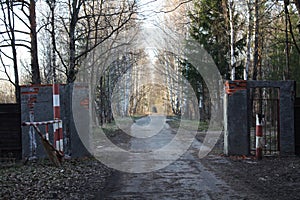 Landscape old Chernobyl alley among dry trees. Stalker entry into the exclusion zone, an abandoned city, ruins and a radio zone.