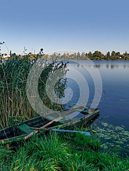 Landscape with an old rotten wooden boat and a lake with reeds in summer