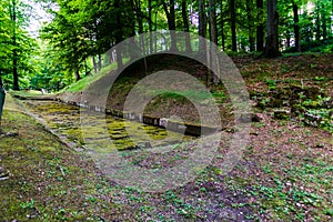 Landscape with old ruins in Sarmisegetusa , Romania