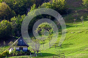 Landscape with an old small house on the slope of a hill with green grass and trees.