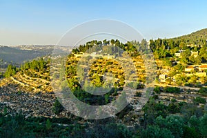 Landscape in the old village of Ein Karem