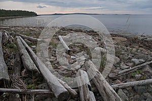 landscape old wood stones coast sea forest trees grass sky background abstraction