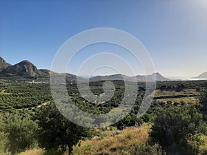 Landscape With Olive Trees, Hills And Mountain Peaks, Crete, Greece 02