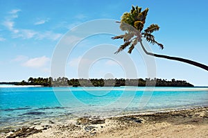 Landscape of One foot Island in Aitutaki Lagoon Cook Islands