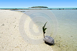 Landscape of One foot Island in Aitutaki Lagoon Cook Islands