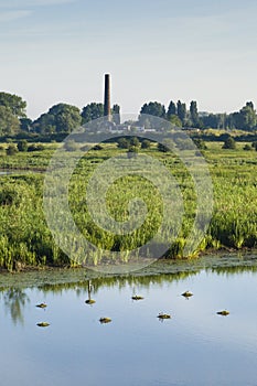 Landscape at Ooijpolder