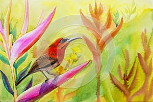 Landscape original painting on paper colorful of Sunbirds