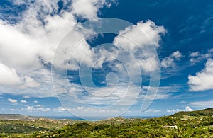 Landscape Outside of Flower Forest Botanical Gardens, Barbados. Jungle and Blue Sky