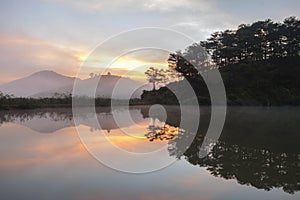 landscape outside nature,calves and cows, with cows, photos used for printing, advertising, tourism, introducing cow products