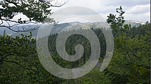 Landscape over forest, Apuseni Mountains, Romania