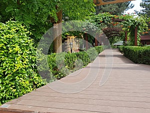 A landscape overlooking a terrace.On the terrace you can see the view from the flower arch. A road with lots of greenery and wood