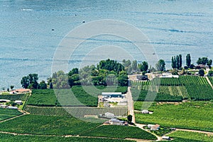 Landscape overview with farmer`s house at Okanagan lake on sunny summer day.