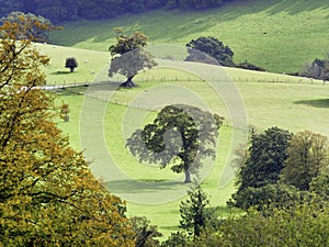 Landscape Overview near Chard Somerset