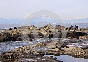 Landscape with the Pacific Ocean, rocks and Mount Fujiyama on background.