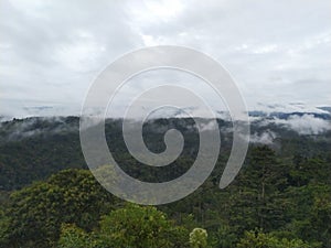 Landscape of Pagaralam, Indonesia