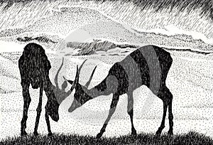 Landscape with pair antelopes against the sunrise. Hand drawn in chinese ink with paper texture. Inkdrawn collection. Bitmap image