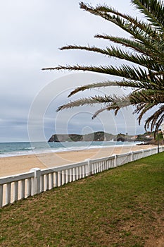 Landscape with palm tree and white fence, a cloudy afternoon, on the beach of Comillas, Cantabria, Spain photo