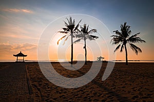 Landscape. Palm trees growing on a sandy beach. Beautiful scenery. Sunrise time. Nusa Dua beach, Bali, Indonesia