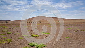 Landscape in Palmwag nature reserve