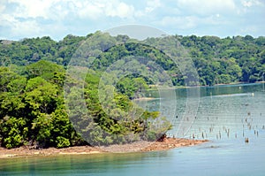 Landscape of the Panama Canal.