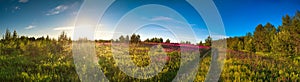 Landscape panorama with the blossoming meadow, sunrise