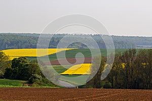 Landscape panorama with different fields and cultivated seeds