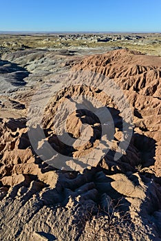 Landscape, panorama of erosive multi-colored clay in Petrified Forest National Park, Arizona