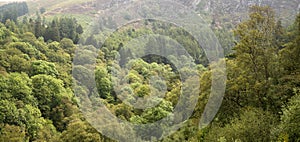 Landscape panorama image of lush green forest in Summer with mountain background