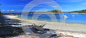Landscape Panorama of Mansons Landing Provincial Park, Cortes Island, Discovery Islands, British Columbia, Canada photo