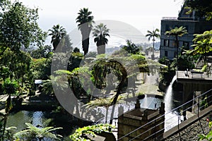 Landscape panorama over a botanical garden with tropical palm trees under the sun, Funchal city and Atlantic ocean in background,