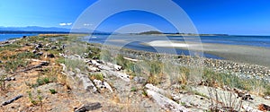 Landscape Panorama of Sandy Island and the Seal Islets Marine Park from Longbeak Point on Denman Island, British Columbia, Canada