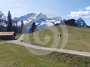 Landscape panorama view Eckbauer Alm mountain meadow near Garmisch.