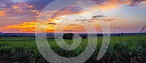 Landscape Panorama of Windmill on a mountain with vast meadows at sunset, beautifully illuminated