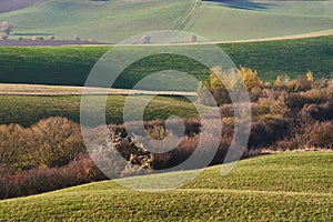 Wawes of fields and meadows in agricultural countryside in Slovakia.