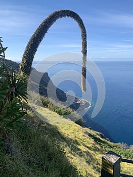 Landscape with panoramic coast of Madeira