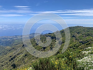 Landscape with panoramic coast of Madeira