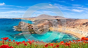 Landscape with Papagayo beach photo