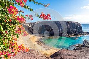 Landscape with Papagayo beach photo