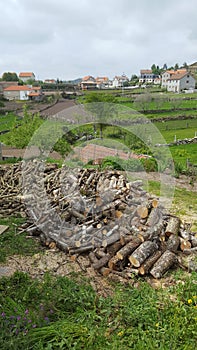 A landscape of Parada do Monte, MelgaÃÂ§o, Portugal photo