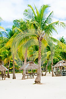 Landscape of paradise tropical island with palms cottages and white sand beach