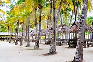 Landscape of paradise tropical island with palms cottages and white sand beach