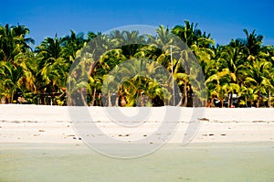 Landscape of paradise tropical island with palms and white sand beach