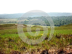 Paisaje Parque Gran Sabana Bolivar Venezuela photo